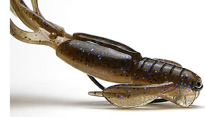 Crazy Flapper Details